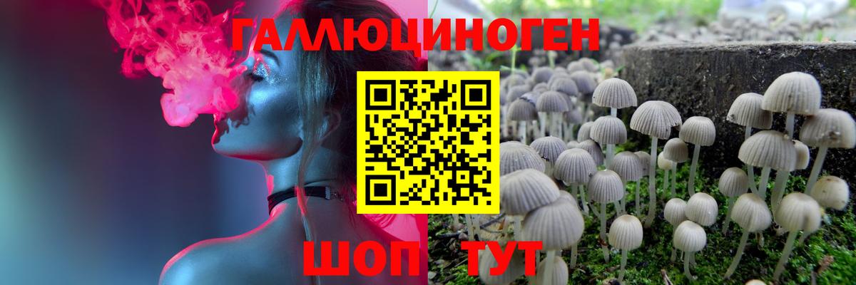 Псилоцибиновые грибы Psilocybe  Галлюциногенные грибы MAGIC MUSHROOMS  Тулун  Вход с VPN 